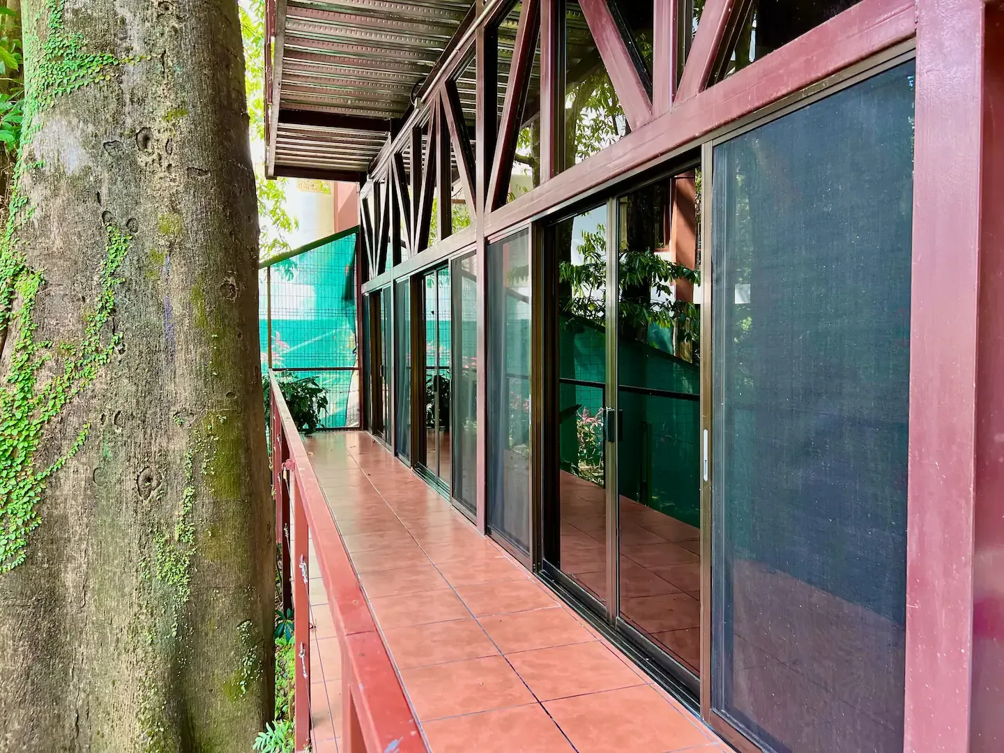 A building with a lot of windows and a tree in the background.