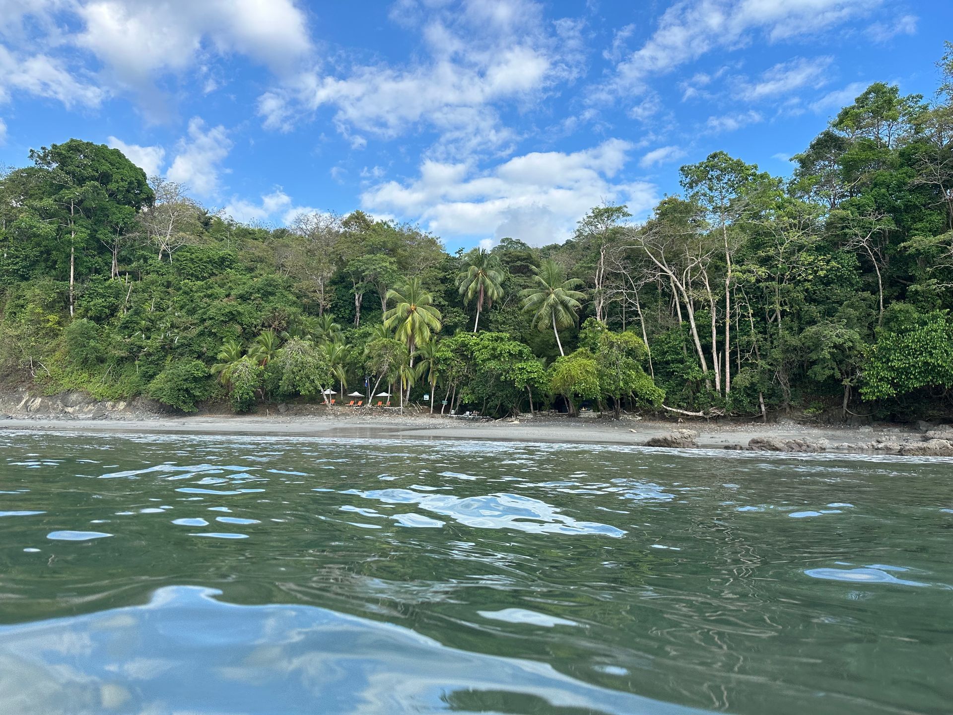 A view of a beach from the water with trees in the background.