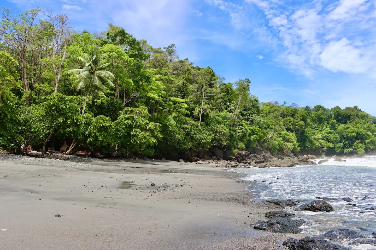A beach with trees on the shore and a blue sky in the background
