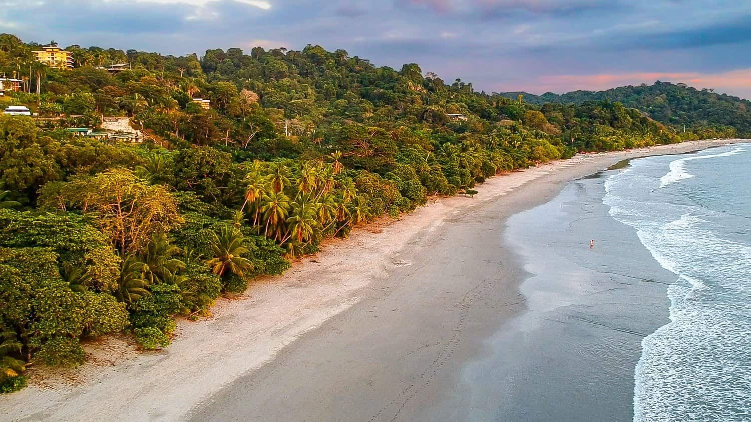 An aerial view of a beach surrounded by trees and waves at sunset.