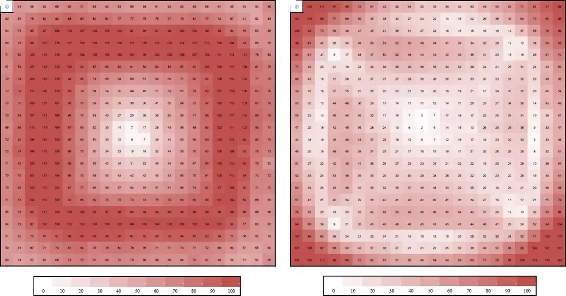 Two red and white heatmaps of a square area, showing a gradient of intensity.