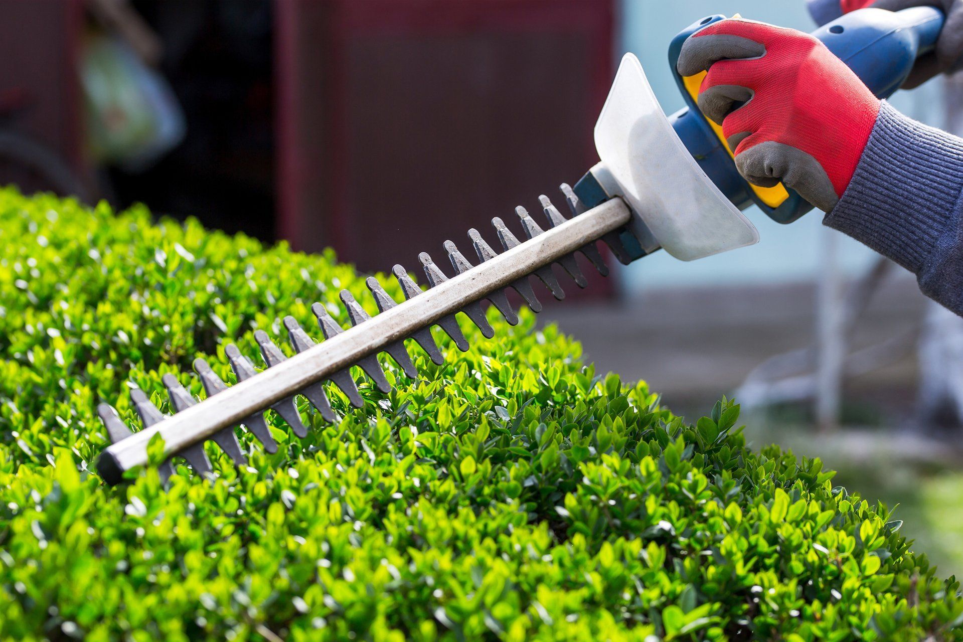 Worker Hands Trimming Grass - Rutherford College, NC - Jensen Landscaping & Tree