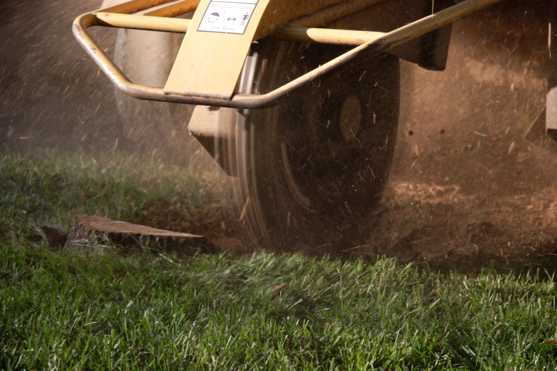Stump Grinding Process — Fresno, CA — Gomez Tree Service