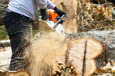 Man Cutting Tree Stump — Fresno, CA — Gomez Tree Service
