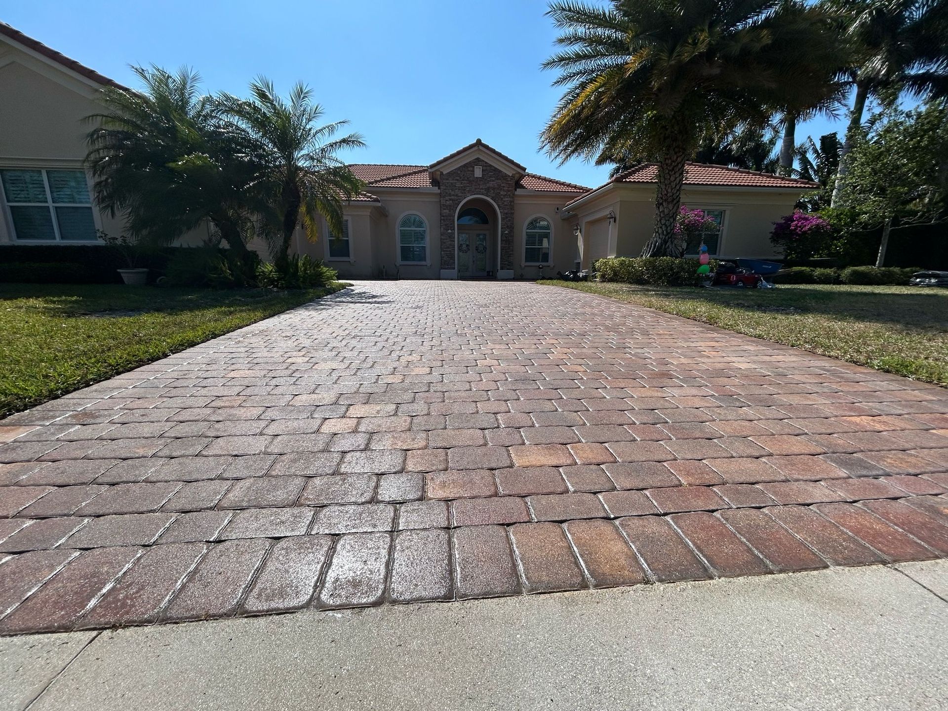 A brick driveway leading to a large house with palm trees.