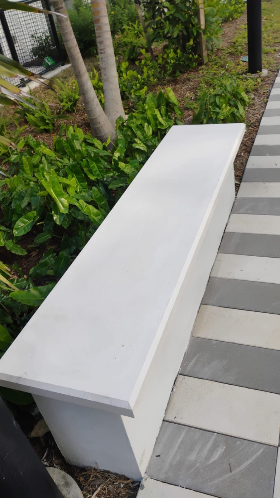 A white bench is sitting on a striped sidewalk next to a tree.
