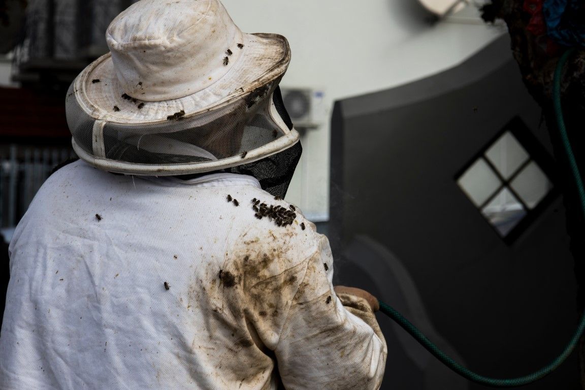 A beekeeper in a white suit with bees on the back and shoulder near equipment.