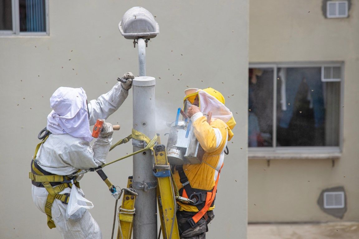 Two workers in protective suits secure equipment on a rooftop beside a building wall.