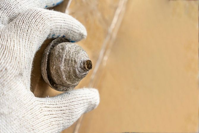 Gloved hand holding a rusted metal bolt against a tan wall