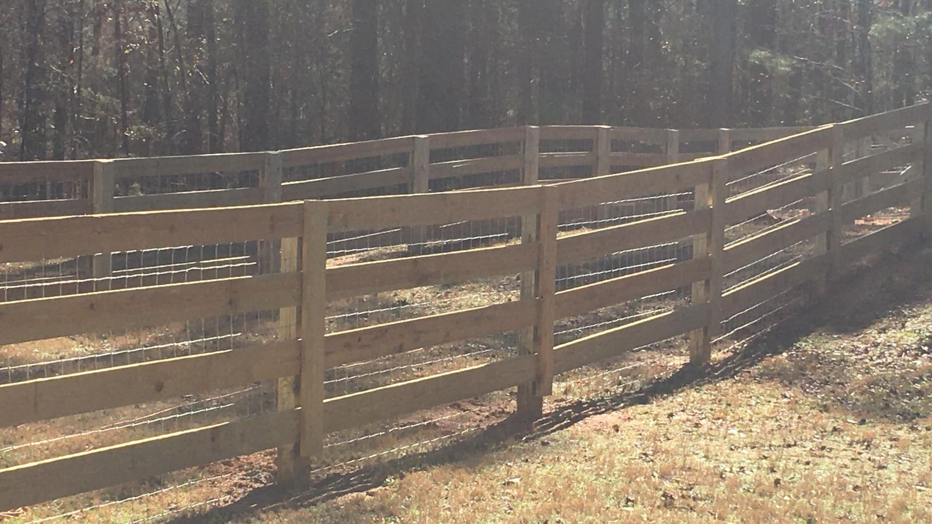 Wooden split-rail fence curving along a sunlit path beside a wooded area