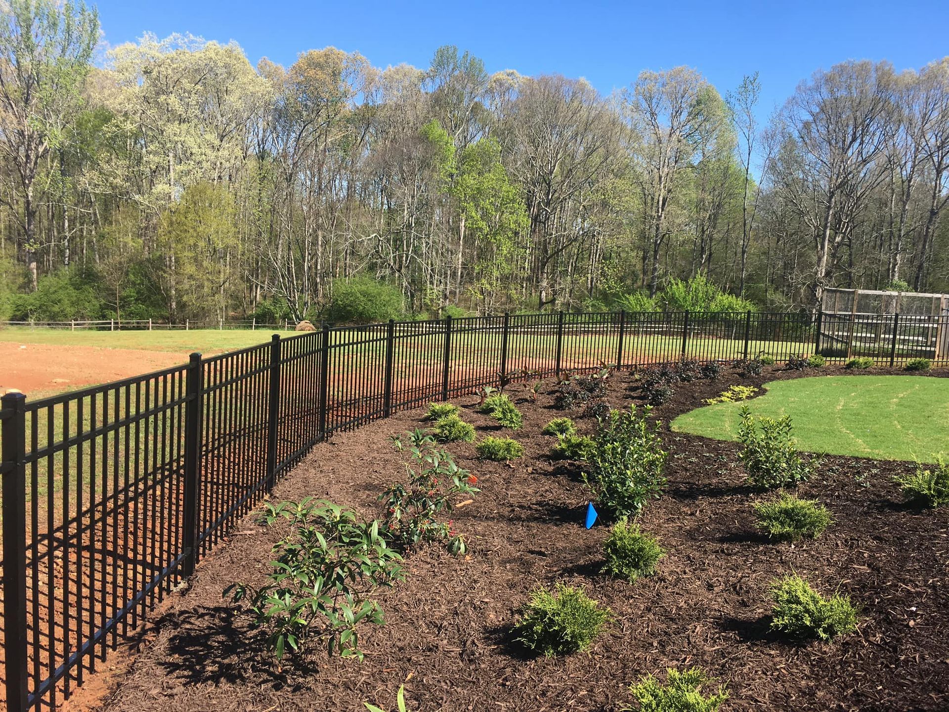 Backyard garden beds beside a black metal fence under sunny spring trees
