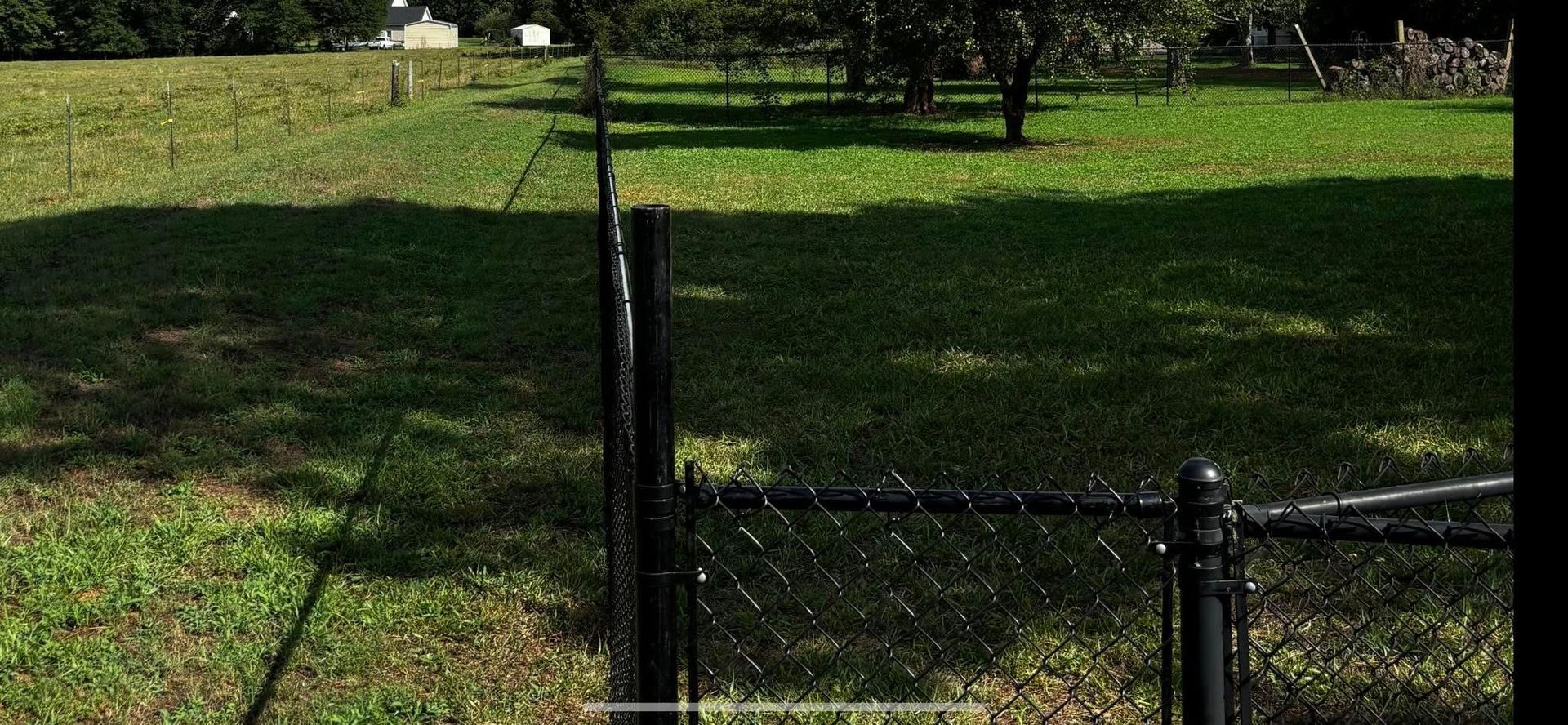 Black metal fence beside a sunlit grassy yard with trees in the background