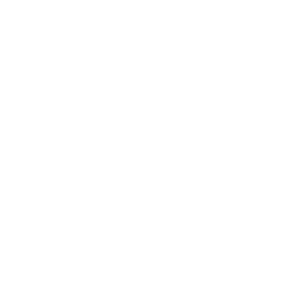All N2 Muzik Productions Play Pause Icon