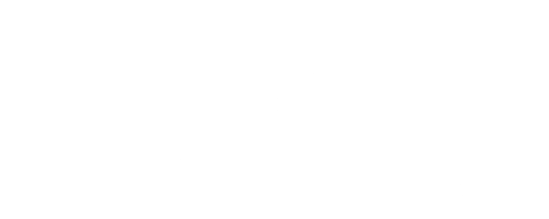 Roof Repair Pro