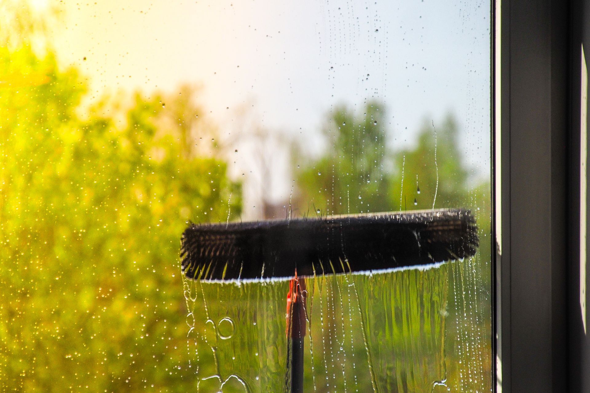 Window being cleaned with a brush, water dripping down. Green trees and bright sunlight in the background.