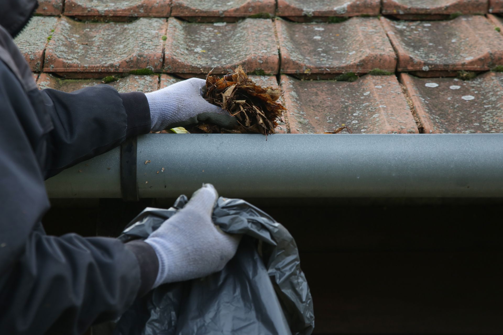 Person cleaning a gutter of leaves, putting debris into a black bag.