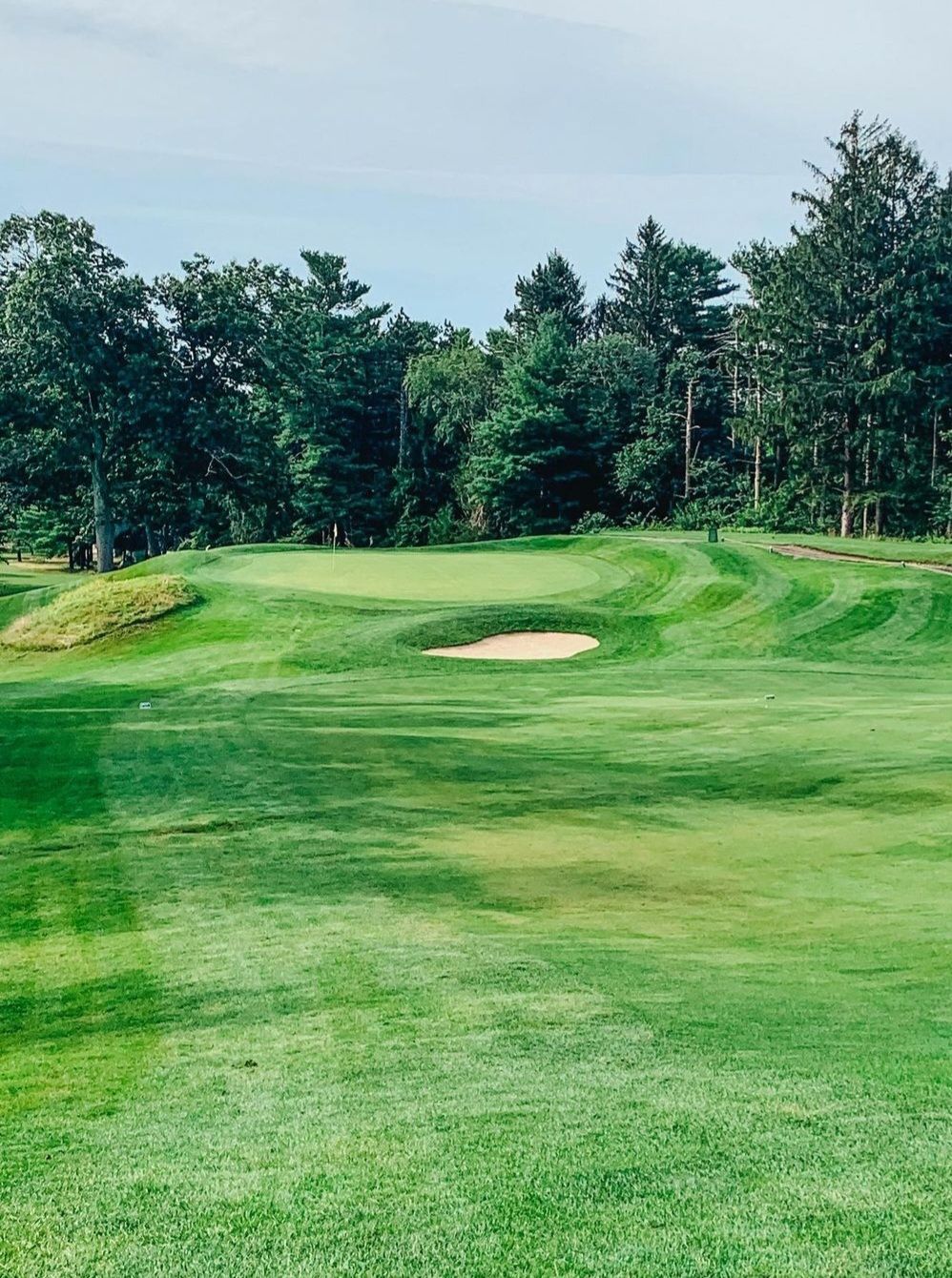 A golf course with a green and trees in the background.