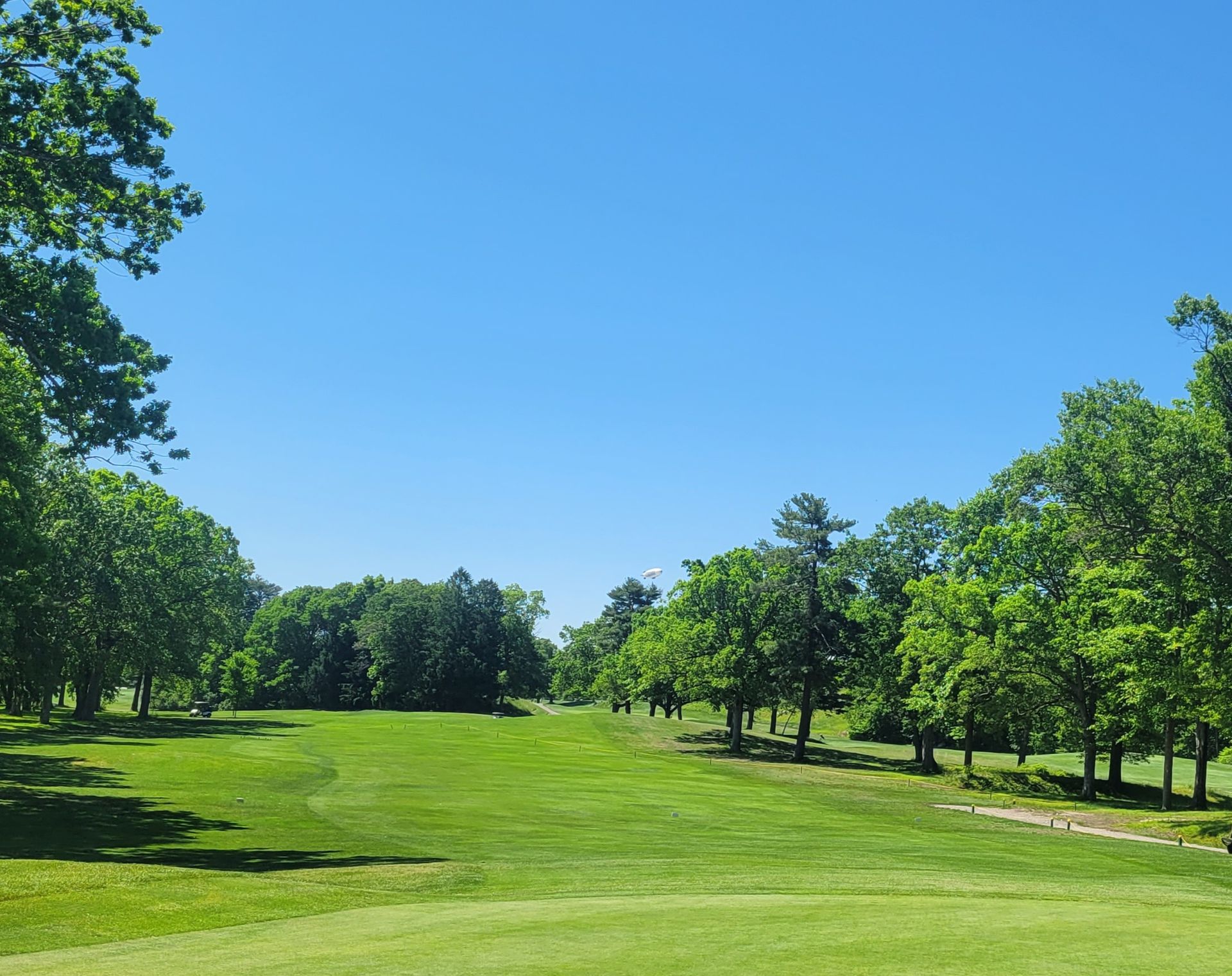 A golf course with trees on both sides and a blue sky