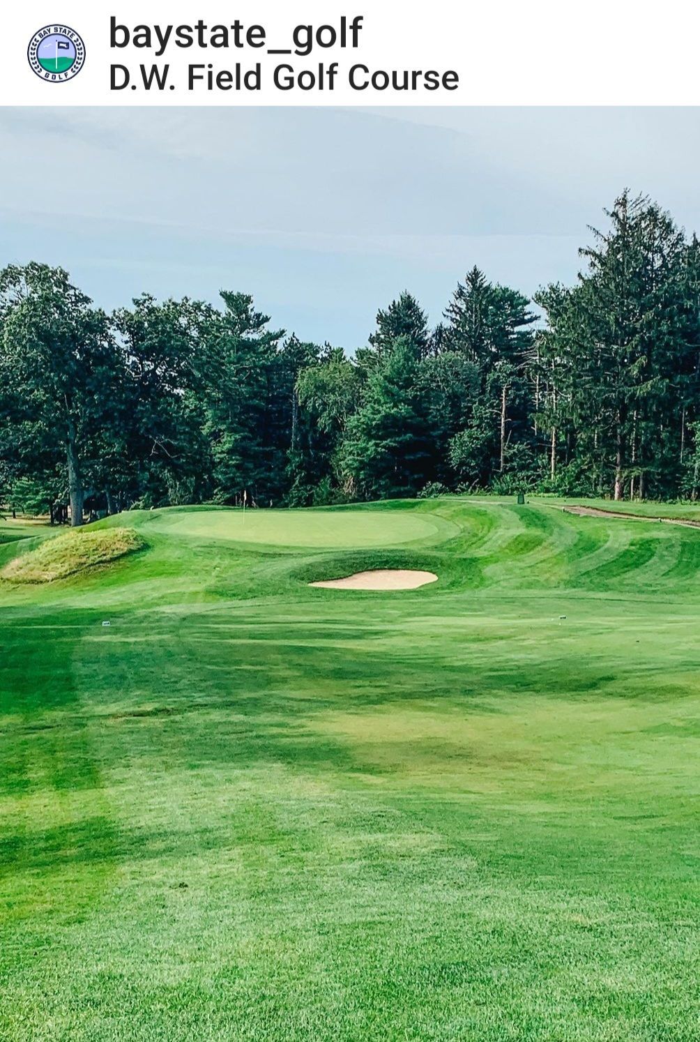 A picture of a golf course with trees in the background.