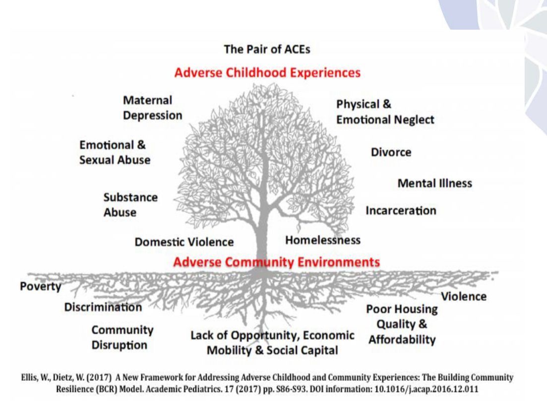 A diagram of the adverse childhood experiences of the pair of aces