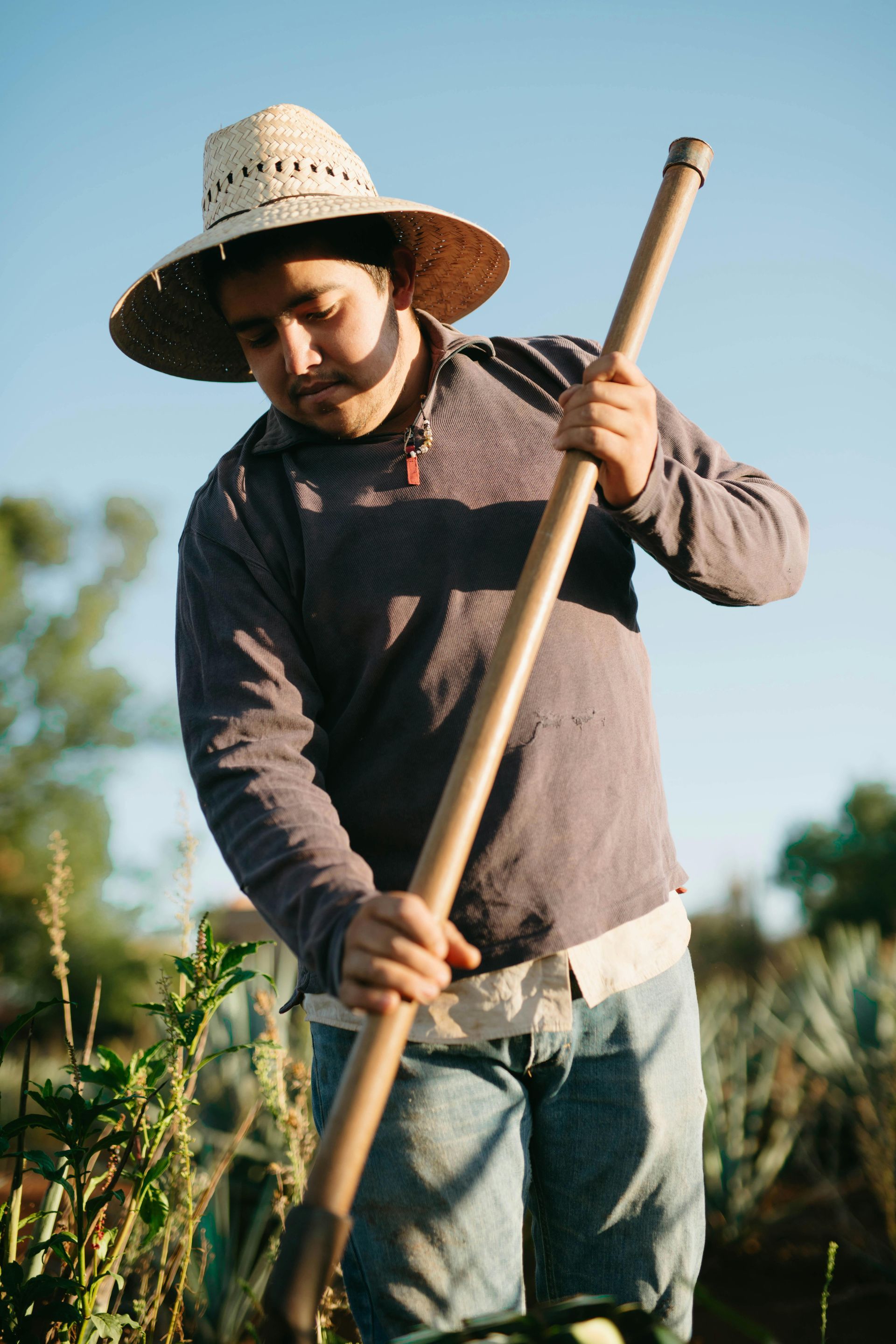 A man wearing a straw hat is holding a shovel in a field.