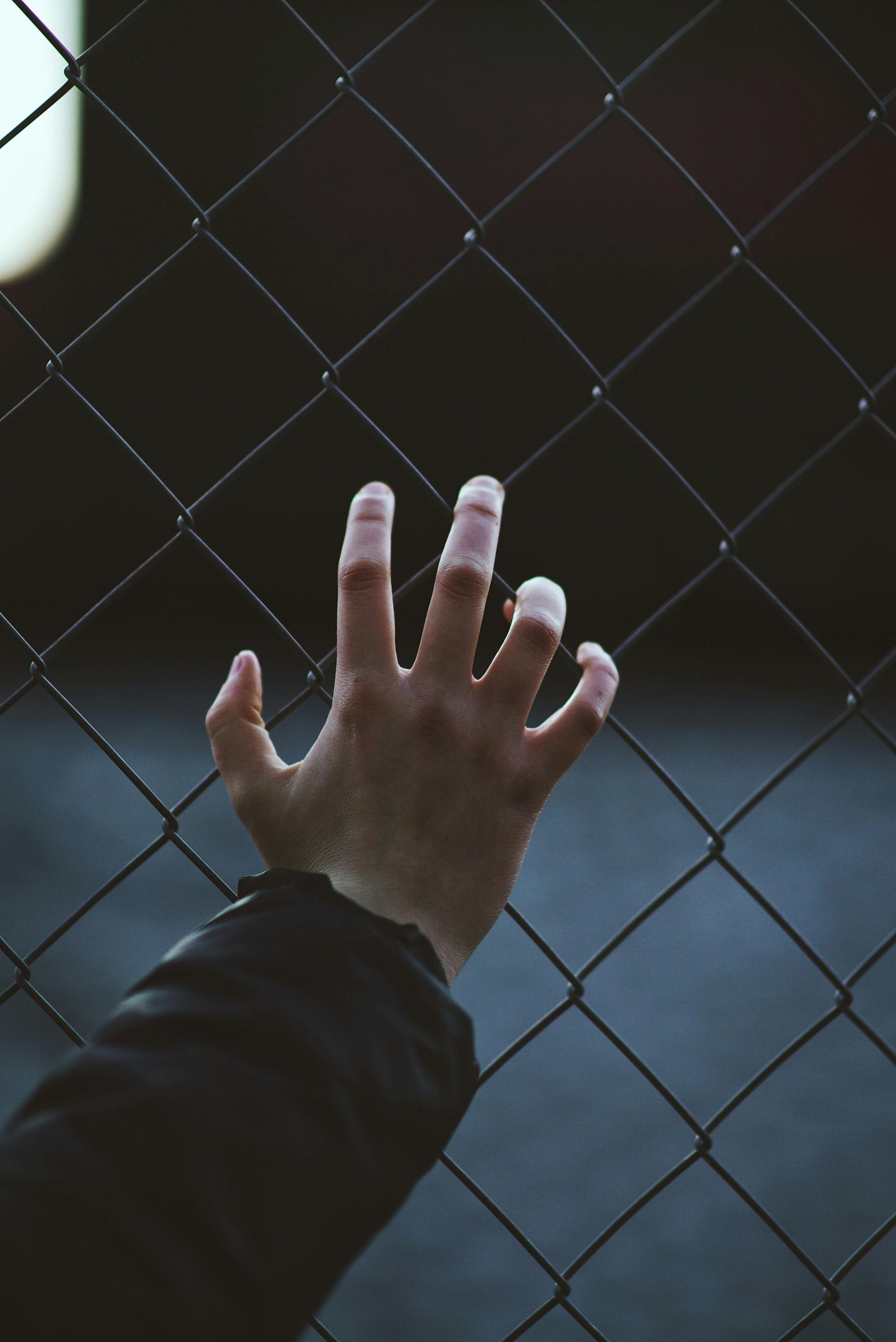 Hand holding a chain-link fence in low light with a blurred background