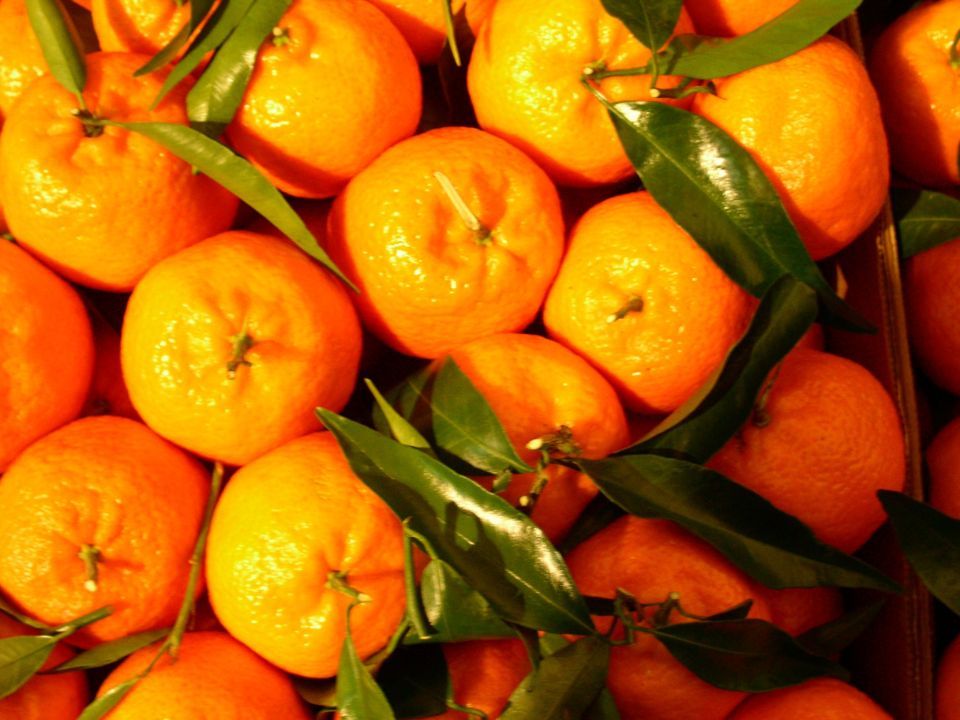 mandarini appena raccolti