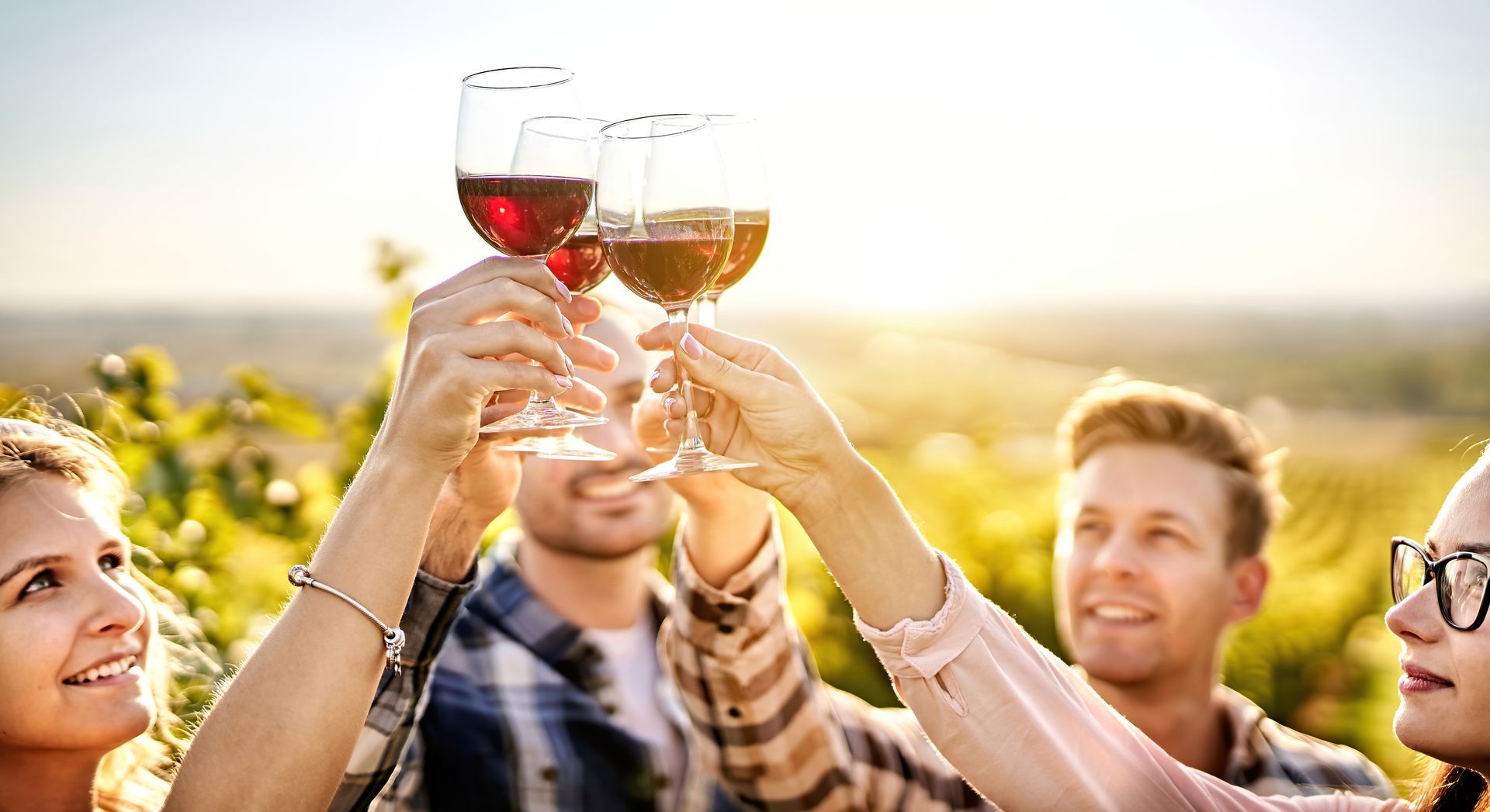 Friends toasting with glasses of wine against a backdrop of a sunny vineyard.