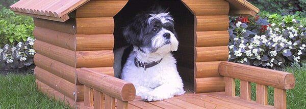 A dog in the Dog House - Port Stephens Pet Barn