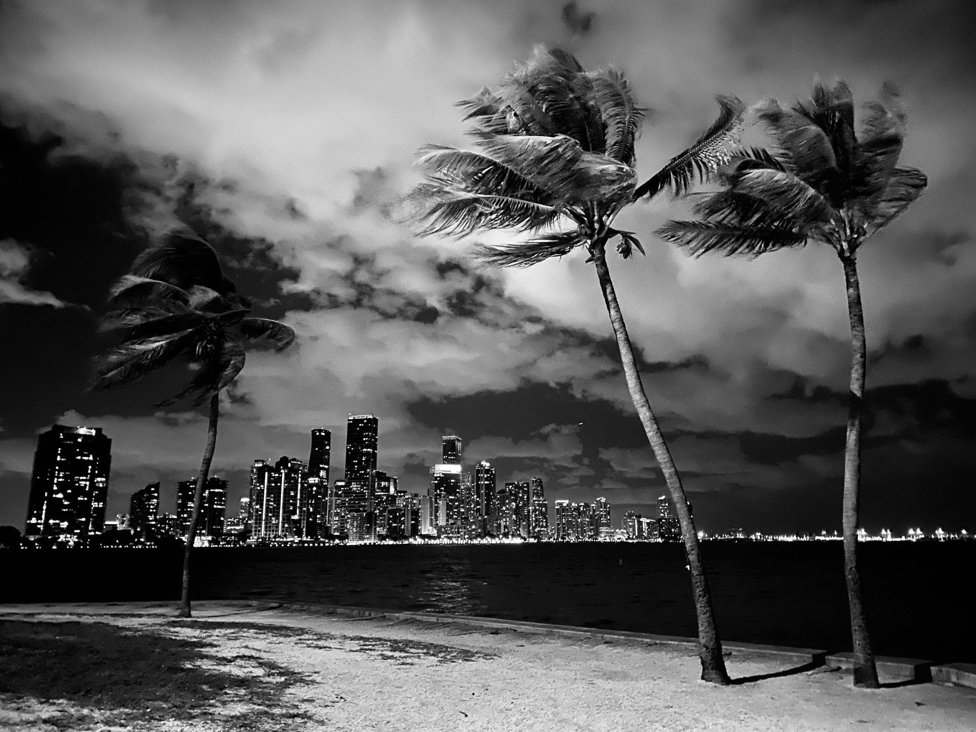 Miami FLorida, azalia molina, fotografia
