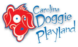 Carolina Doggie Playland
