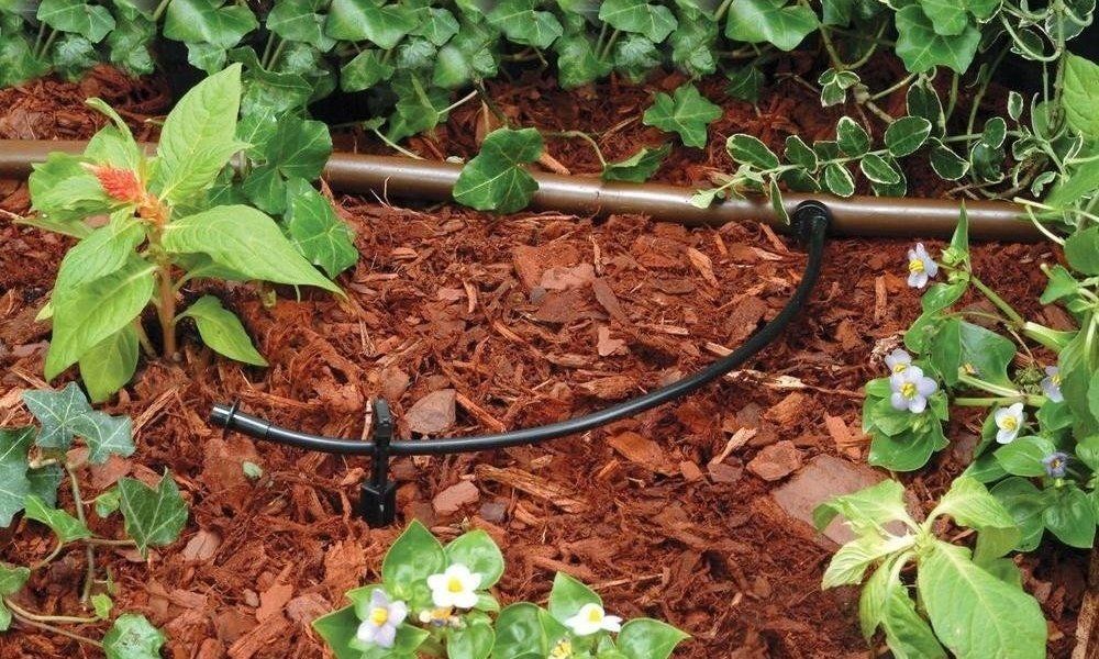 How to Use Drip Irrigation in a Garden