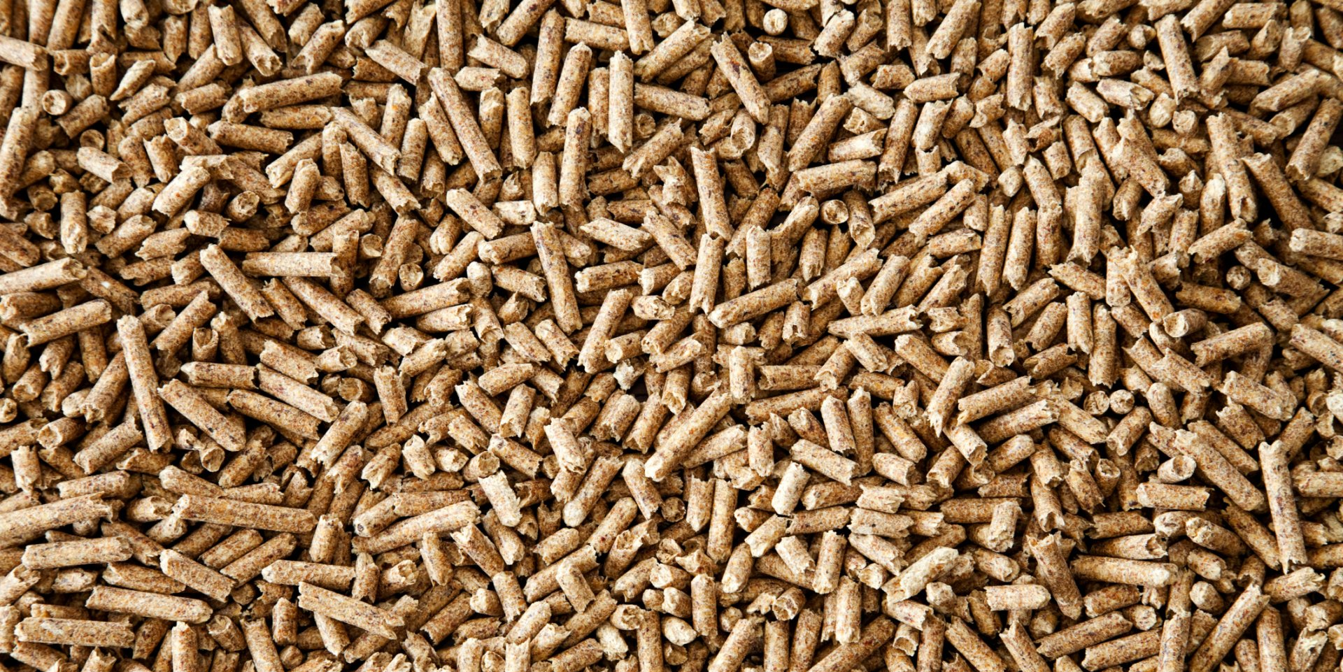 Wood Pellets Or Lack Thereof