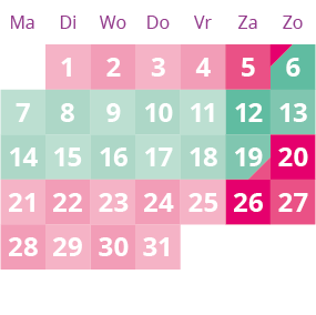Een roze en groene kalender met de nummers 1 tot en met 27