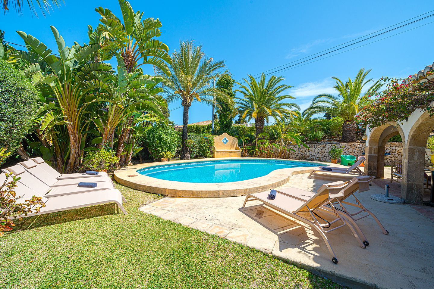 Een groot zwembad omgeven door palmbomen en ligstoelen