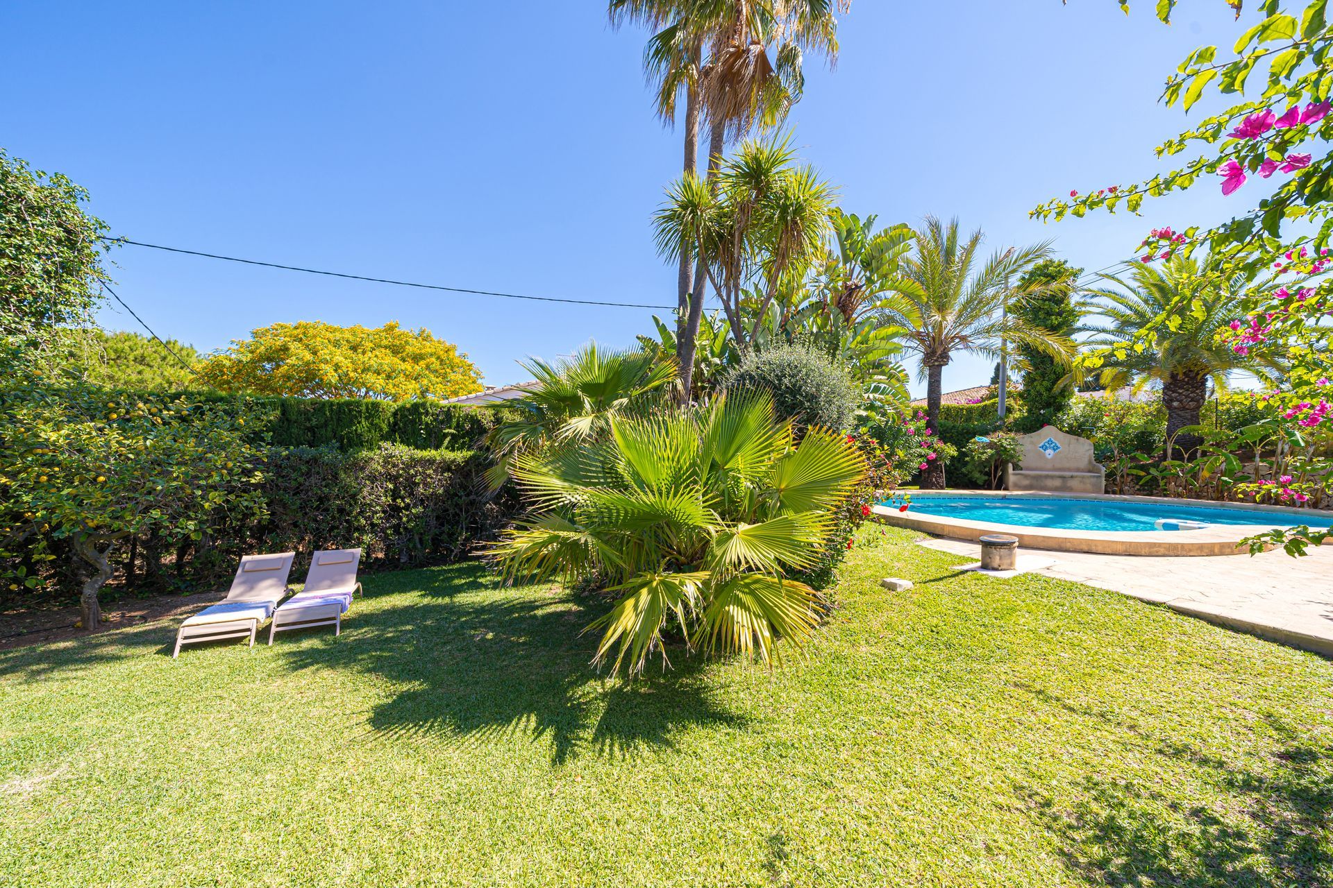 Een weelderige groene tuin met een zwembad op de achtergrond