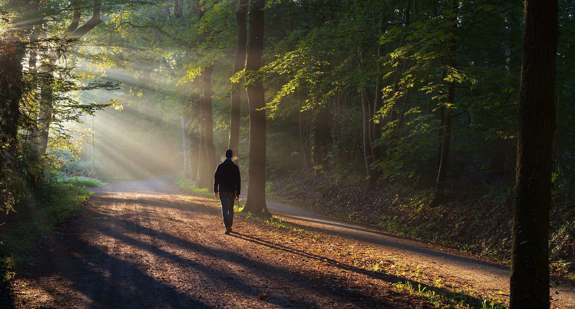 A man is walking down a path in the woods with the sun shining through the trees.