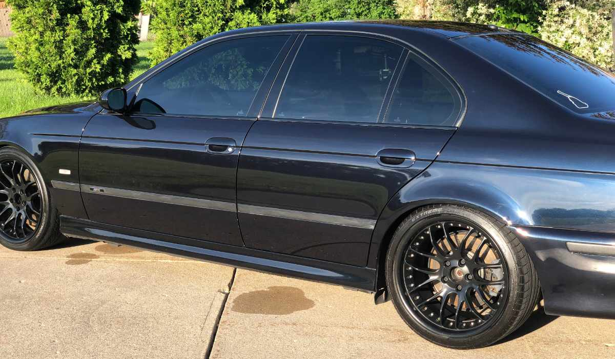 Shiny black BMW side with green shrubs behind