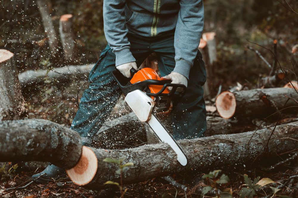 Person wearing gloves using an orange chainsaw to cut a log in a wooded area — Gloucester Outdoor Solutions In Bulahdelah, NSW