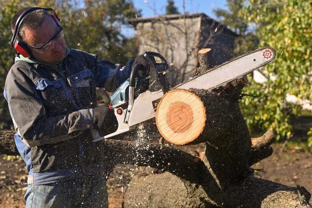 A Man is Cutting a Tree With a Chainsaw — Gloucester Outdoor Solutions In Gloucester, NSW