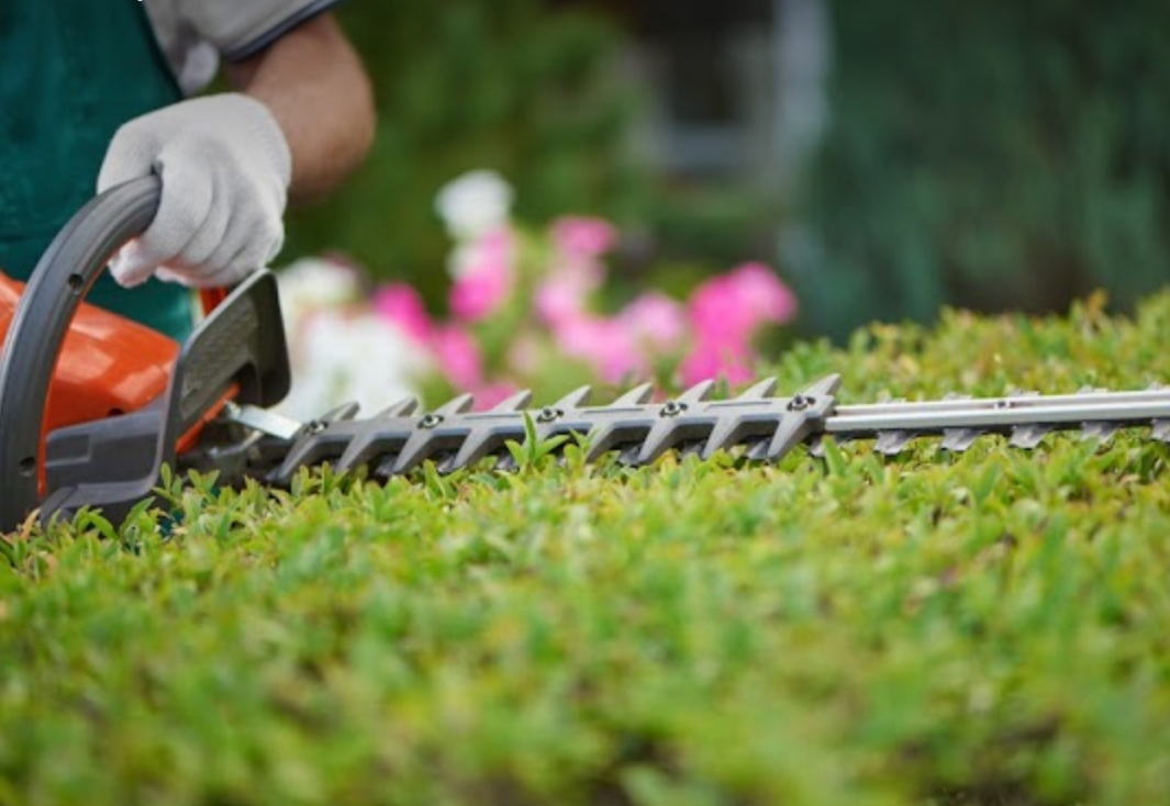 Lawn Mowers Tools Repair — Gloucester Outdoor Solutions In Gloucester, NSW