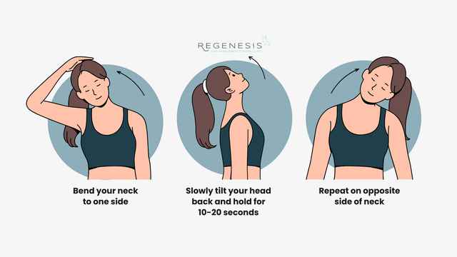 Neck Stretching Exercises 9 Neck Back Stretches PDF File Plus