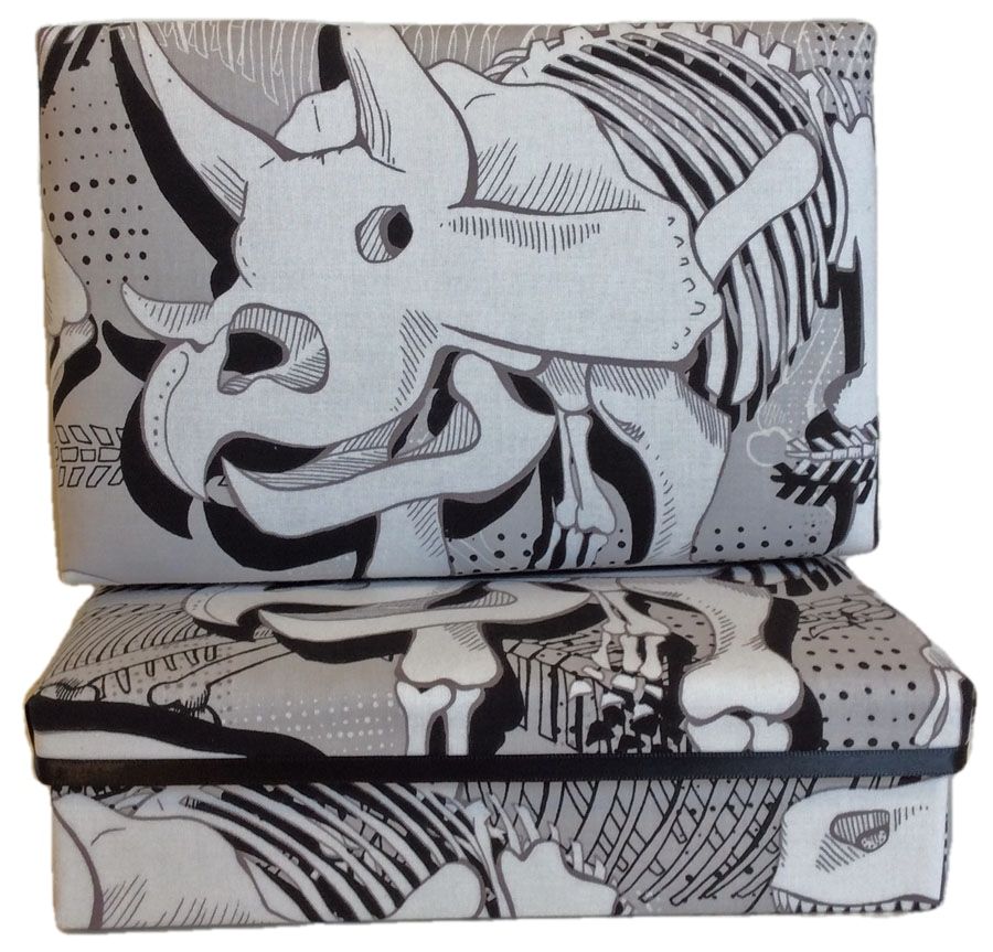 Dinosaur Fossils Gift Box