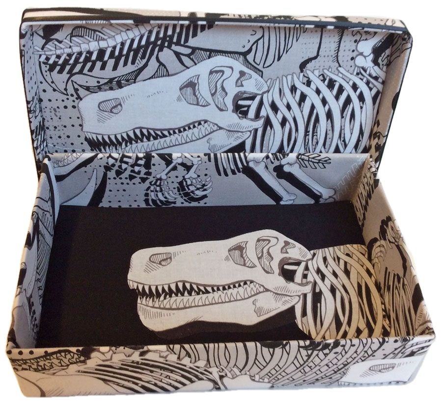 Dinosaur Fossils Gift Box