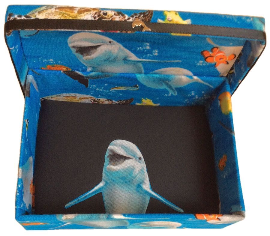 Dolphin Selfies Gift Box