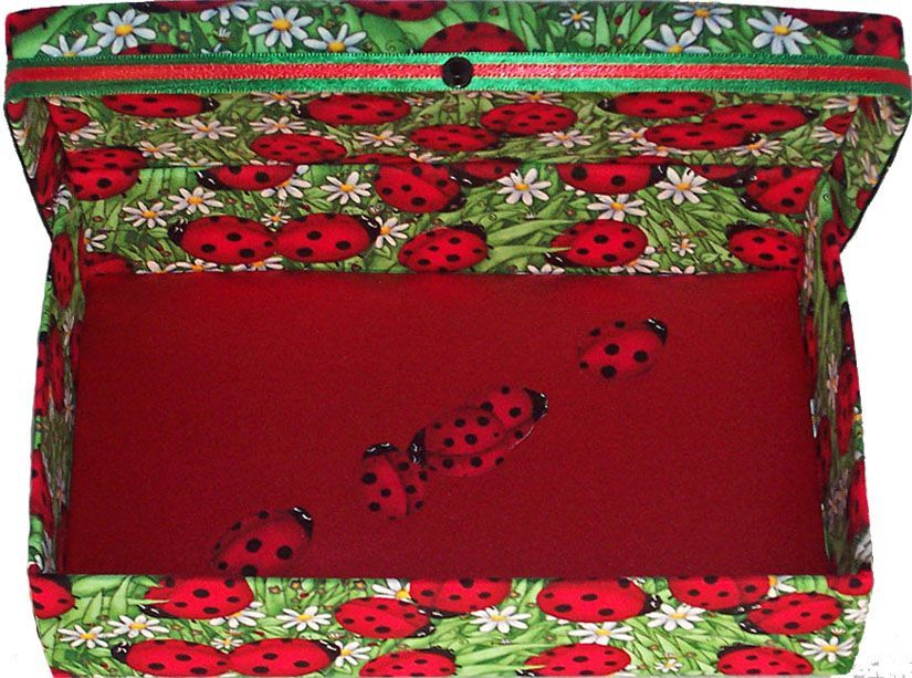 Ladybug! Ladybug! Gift Box