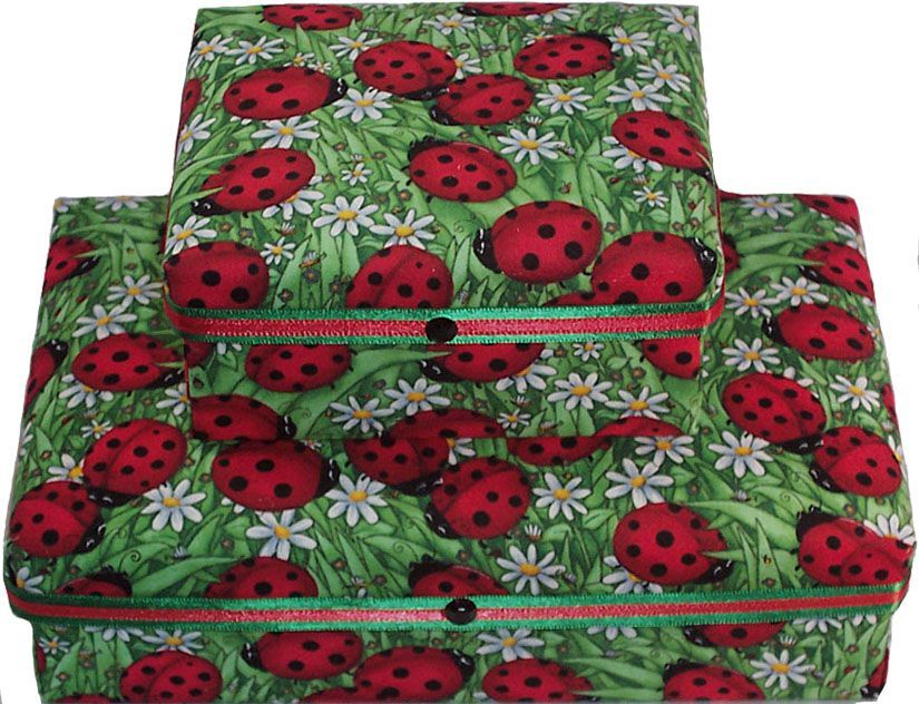 Ladybug! Ladybug! Gift Box