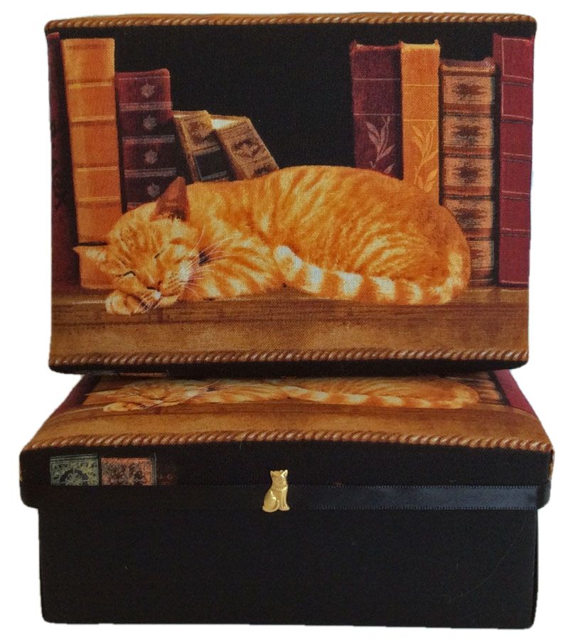 Book Cats Asleep Gift Box