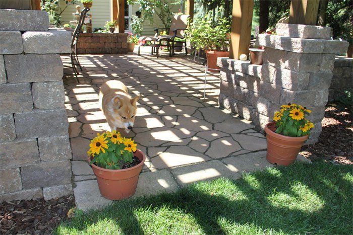 Yard Hardscapes Service — Healthy Flower in A Vase in Marietta, PA