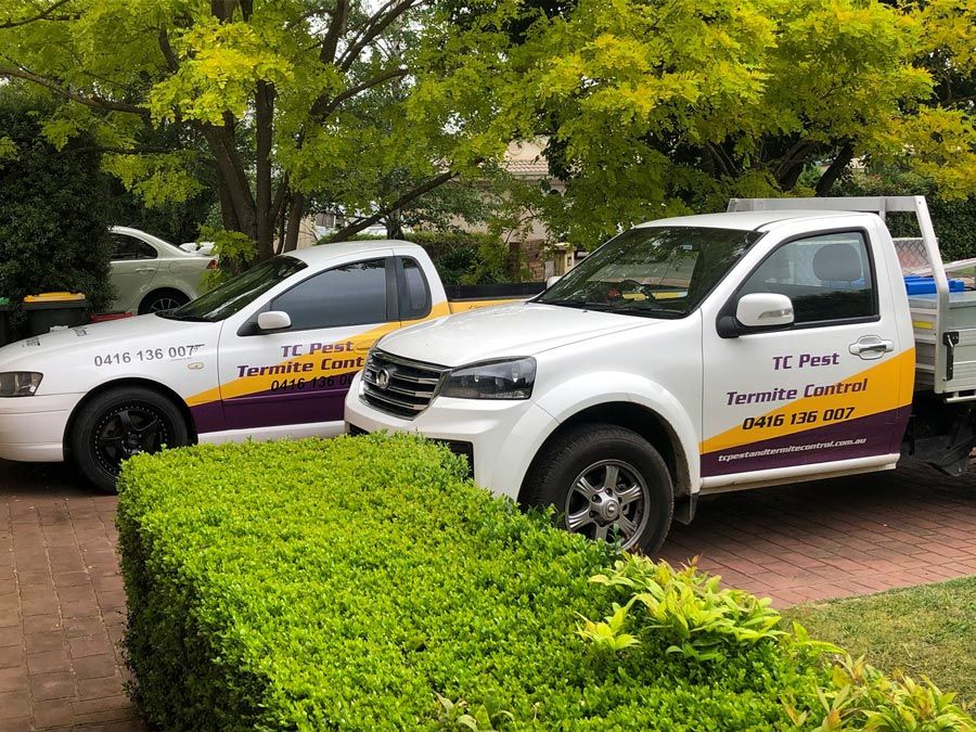 TC Pest & Termite Control vehicles — TC Pest & Termite Control in Bowral, NSW